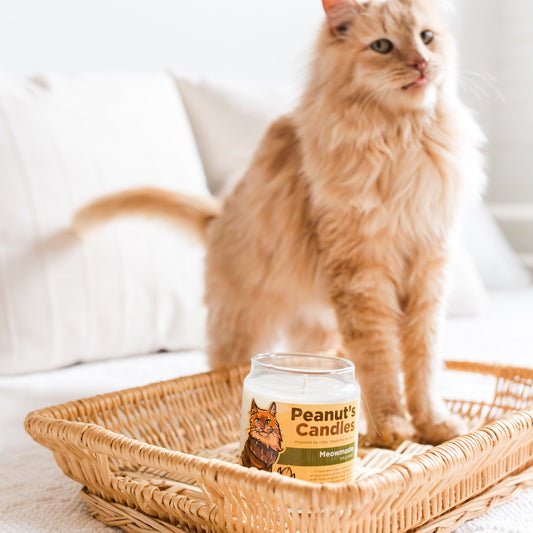 Meowmaste 8 oz Soy Candle