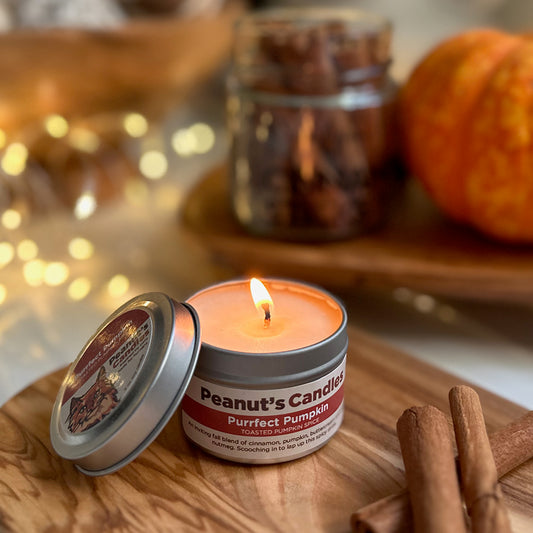 Purrfect Pumpkin 2 oz Soy Candle