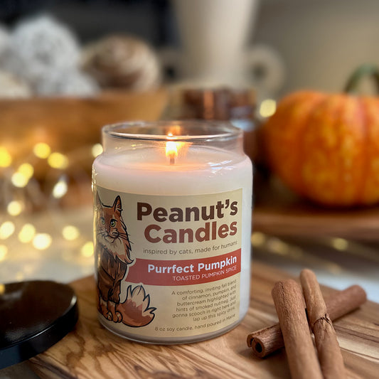 Purrfect Pumpkin 8 oz Soy Candle